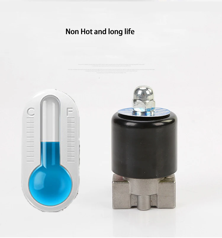 válvula solenóide de aço inoxidável 110v 220v 12v 24v