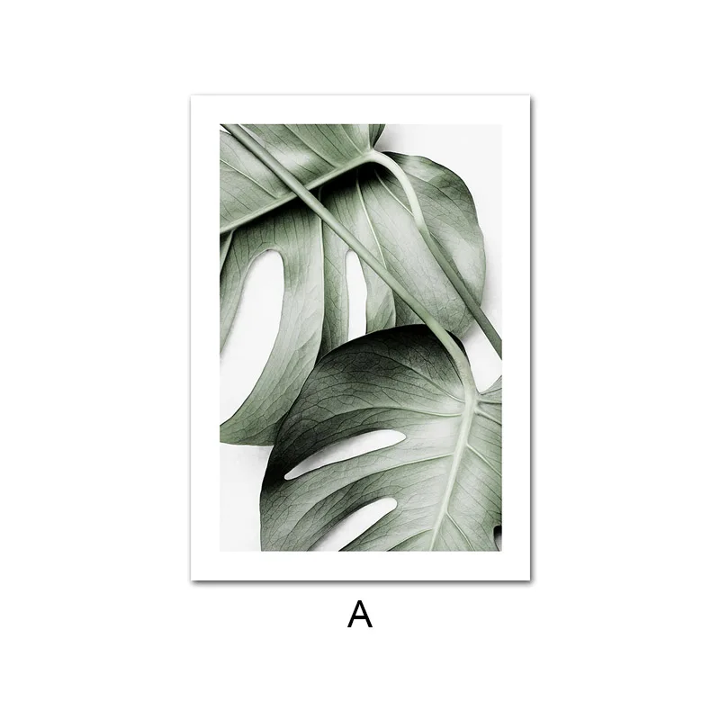 Picture A Monstera банановый лист зеленый постер с растением стена в скандинавском стиле Художественная холст растительная печать, современная живопись картина для оформления дома - Цвет: Picture A