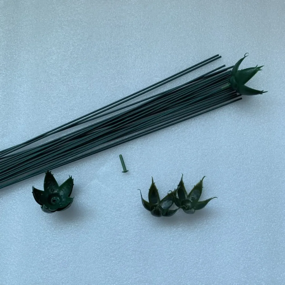 11102608131_316216038