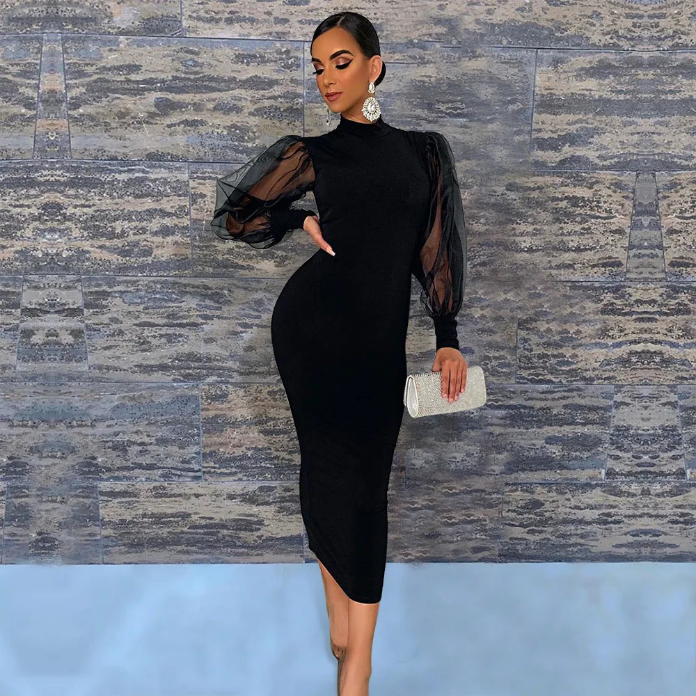 Echoine Summer Sheer Mesh Puff Sleeve 
