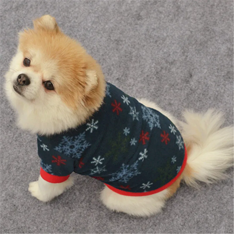 Unique Sweaters For Dogs - The Popular Clothes This Winter