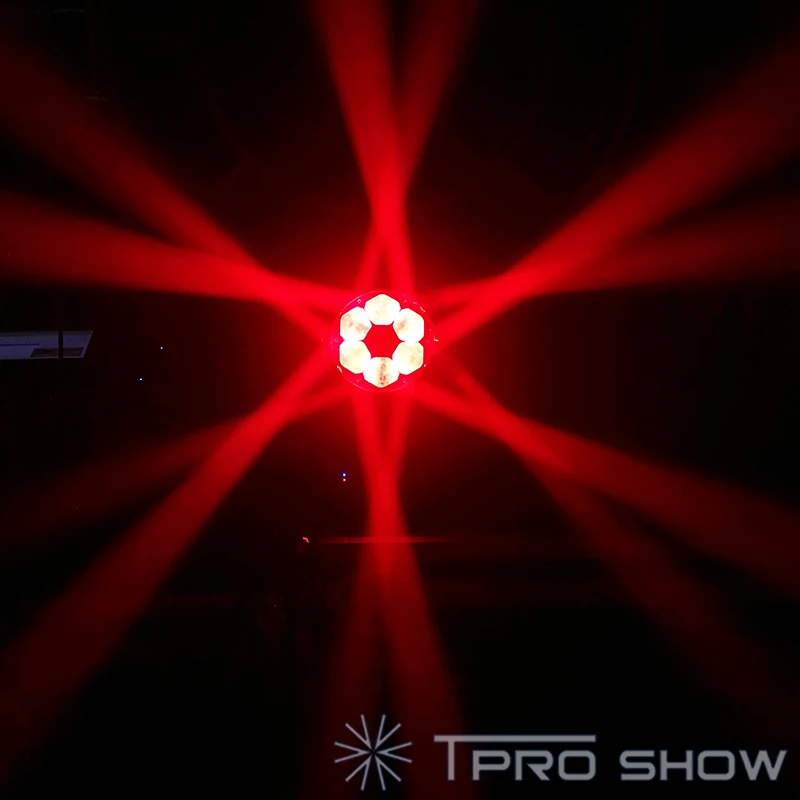 Bee-eyes-moving-head-feature-1