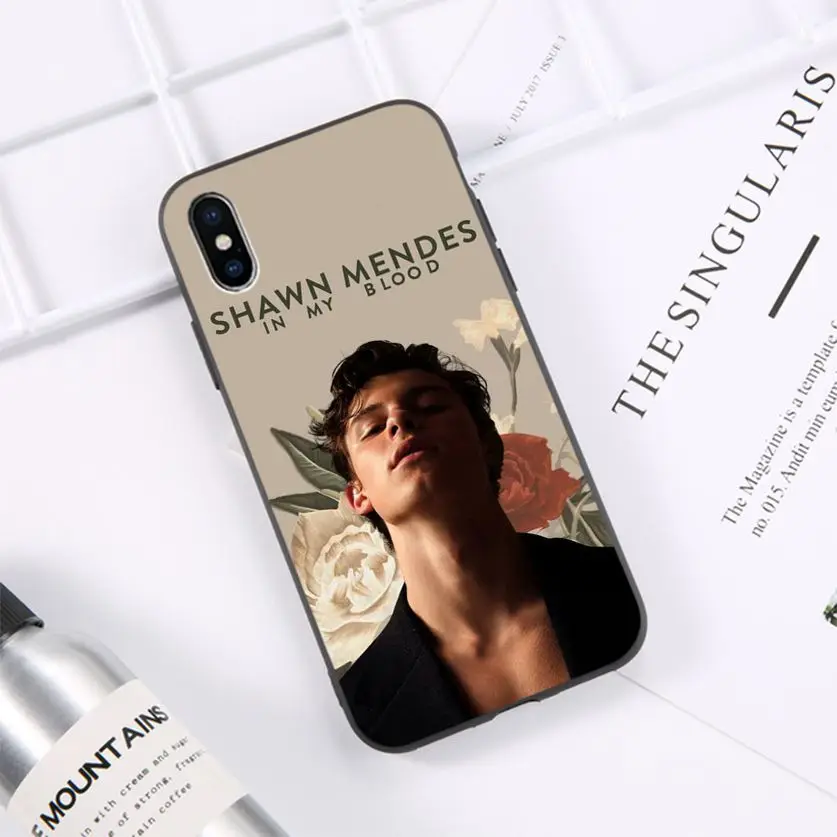 Canada Pop singer Shawn Mendes