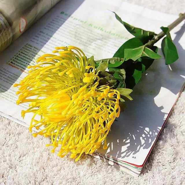 Настоящее прикосновение Pincushion цветок искусственный king protea искусственный тропический цветок искусственное растение DIY свадебный домашний декор - Цвет: yellow green