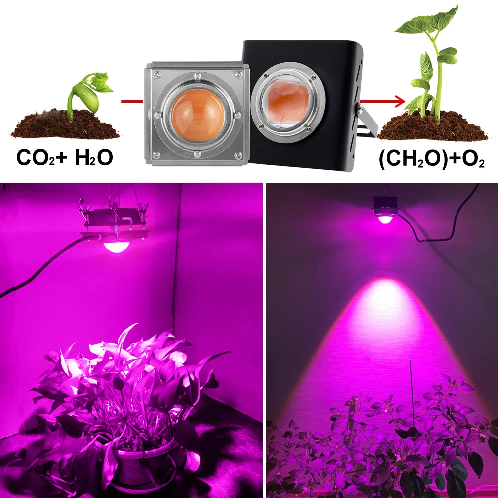 300W LED Grow Light Полный спектр высокой светоотдачей для внутреннего Открытый