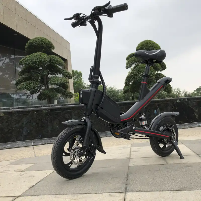 dual power electric bike