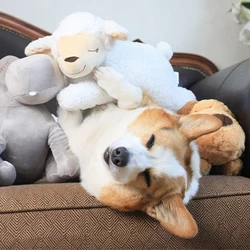 Muñeco de peluche de perro para mascota, juguete relajante de latido del corazón de cachorro de cabra, juego de entrenamiento de comportamiento, ayuda a aliviar la ansiedad y el sueño