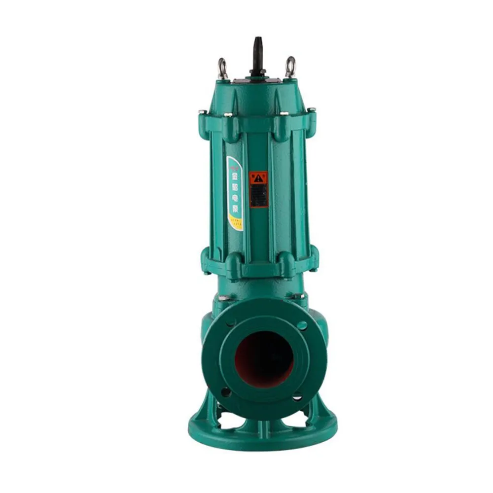 

0.75KW Sewage Sludge Pump 220V/380V Non-clog Submersible Shit Pump for Agricultural Irrigation