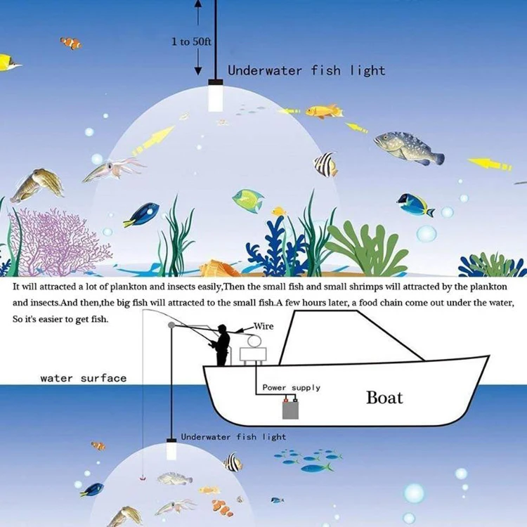 LED fishing lights 2