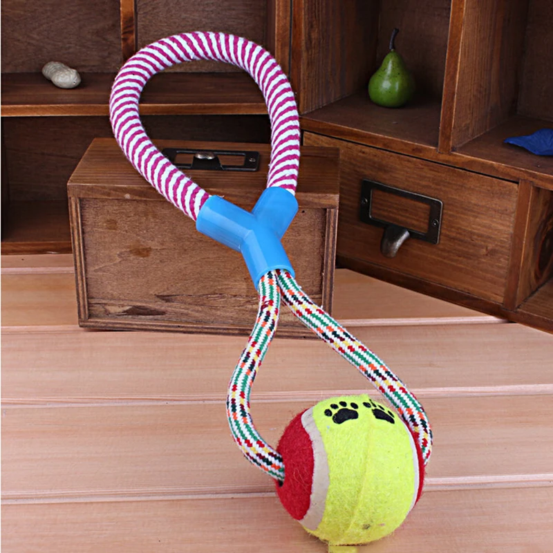 HTB1K..tIFXXXXcFXXXXq6xXFXXXr