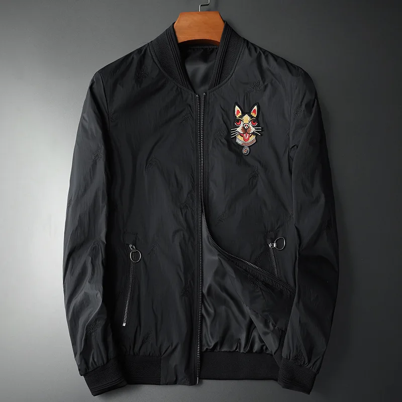 12175646103_1248239198