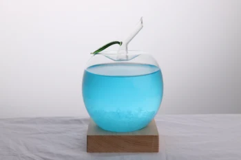 

Creative Storm Glass Weather Predictor, Apple-Shaped Storm Glass Bottles Barometer with Wood Base, Desktop Decoration Crafts-