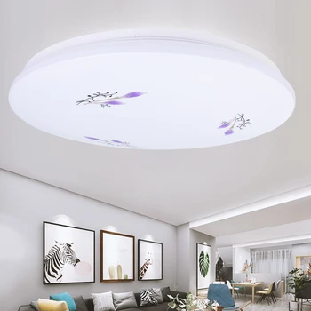 

JUNEJOUR Ceiling Light Round Panels Ceiling Lamp Flat Ceiling Lamp for Balcony Living Room 12W/18W/24W