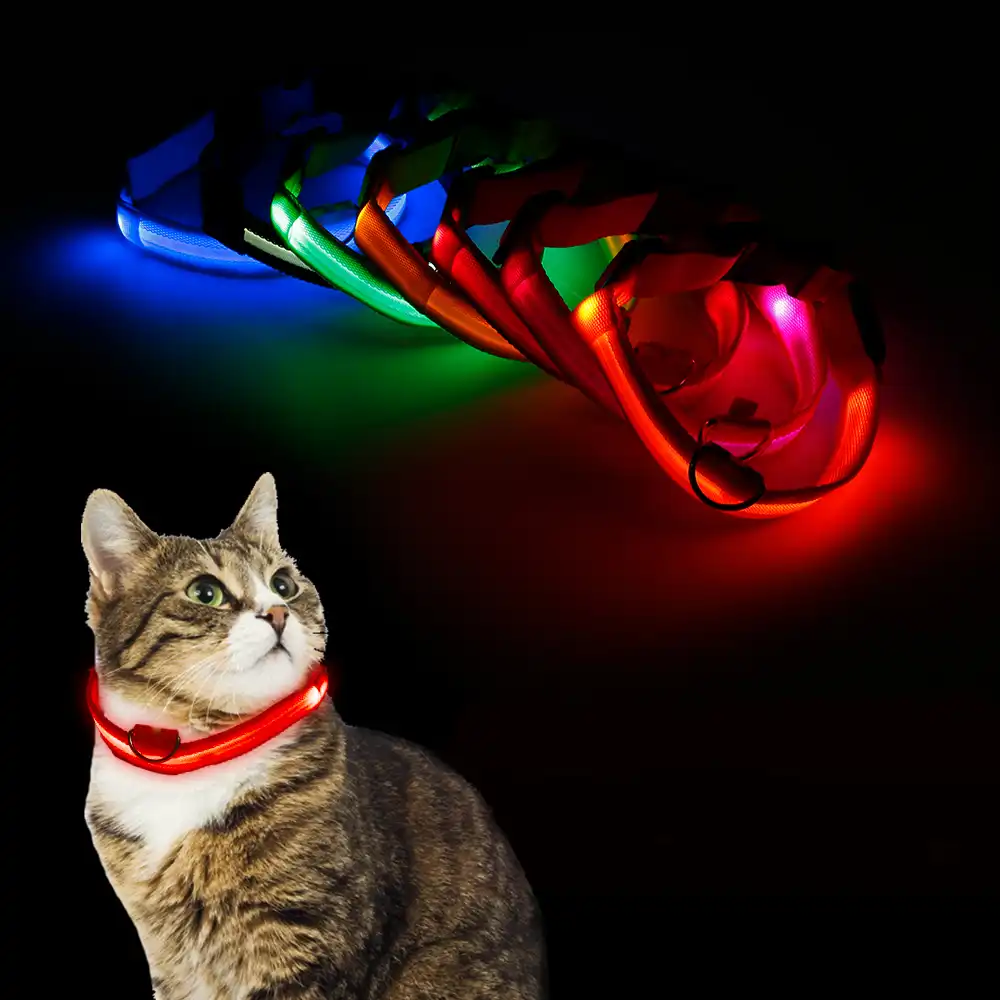 glow in the dark kitten collar