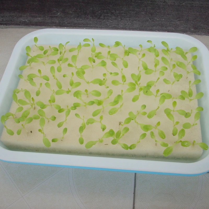1pc 300mm by 200mm Nursery Sponge Gardening Hydroponics Sponge Vegetables Hydroponics for Garden Supplies