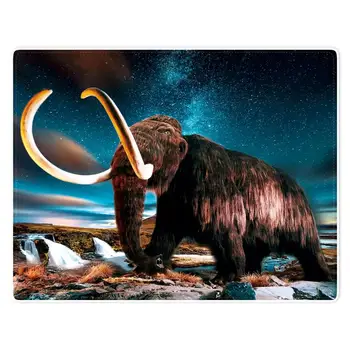 

HommomH Blanket Soft Comfort lightweight well made Nap Sofa Bed Travel Warm Plush Throw Mammoth Falls Starry Sky