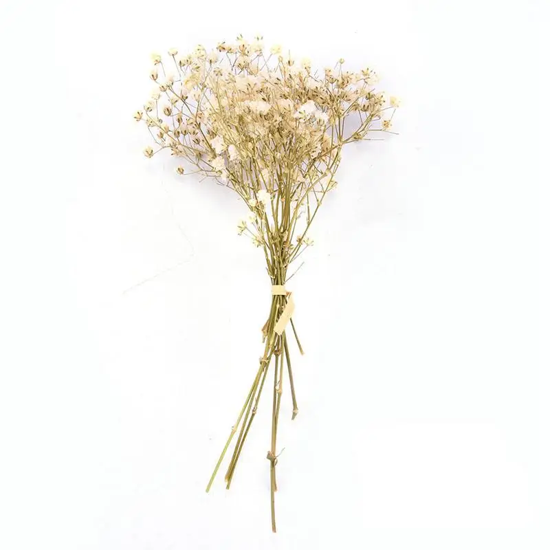 1/3 Mini Decorative Dried Flowers Babysbreath Flowers Bouquet Natural Plants preserve Floral for