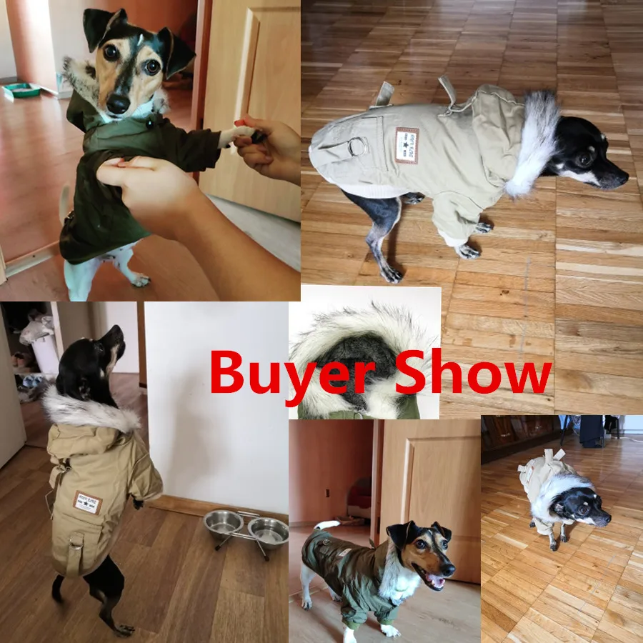 U1f87473ef39a4e348ecf8c8083334f16h_副本