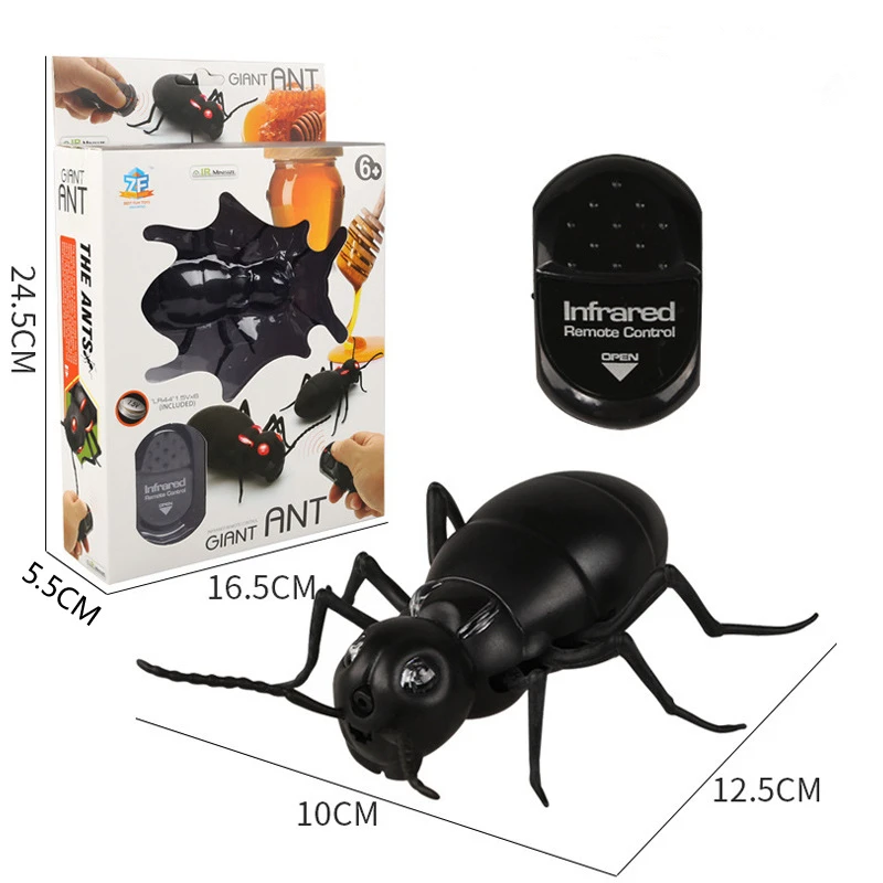 8818891597_250004779_副本