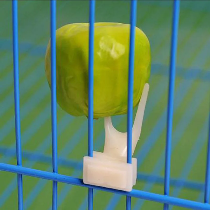 Tenedor de frutas para pájaros y loros, soporte de plástico para alimentación en jaula, artículos de animales pequeños, alimentador de loro automático, 5 uds.