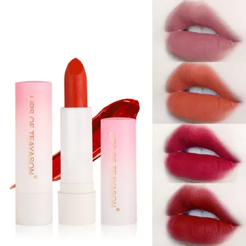 

Women Lip Makeup Lipstick Waterproof Nude Matte Velvet Lip Gloss Long Lasting Moisture Cosmetic Sexy Red Lip Make Up Batom TSLM1