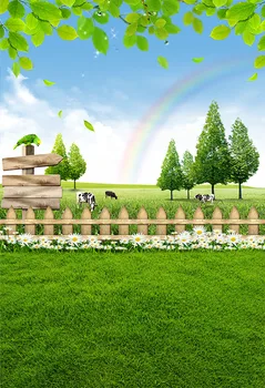 

Vinyl farm rainbow Photography Background Printed Photophone newborn children Backdrop for Photo studio