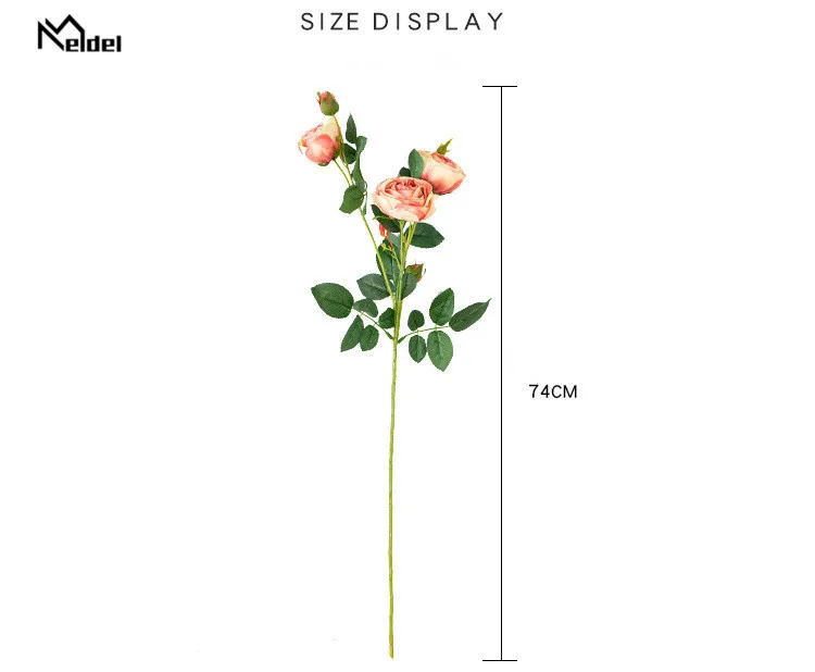 11945840644_1245478559