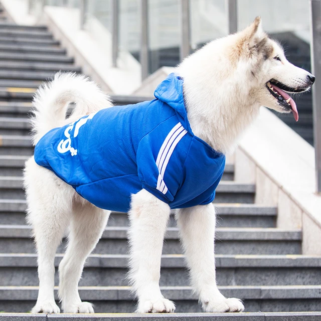 Ropa de invierno para perros grandes, para Bulldog Francés, disfraz de talla grande, 7XL8XL, 9XL _ AliExpress Mobile