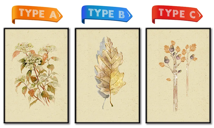 NCKF210-仙人球ABC款