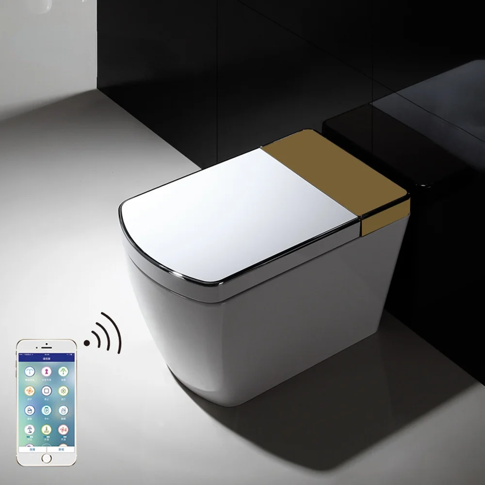 

Unique decorative european gold high toilets for seniors