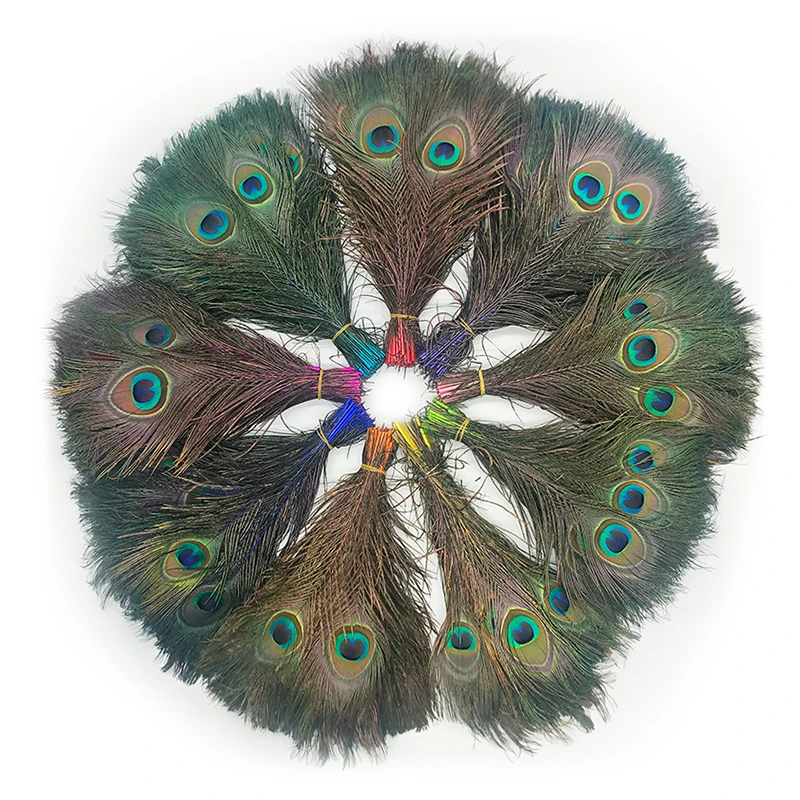 孔雀毛直染合照