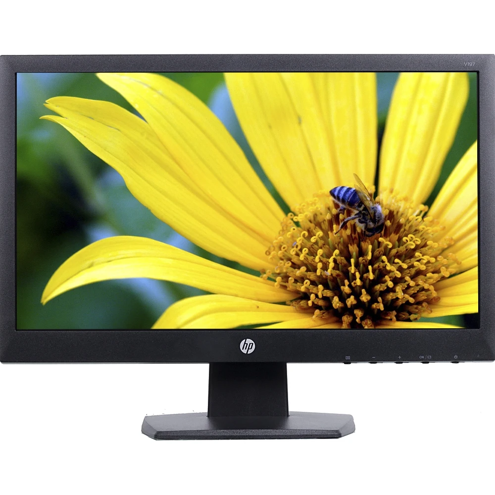 Монитор HP 18.5" V197 черный TN LED 5ms 16:9 DVI Mat 200cd