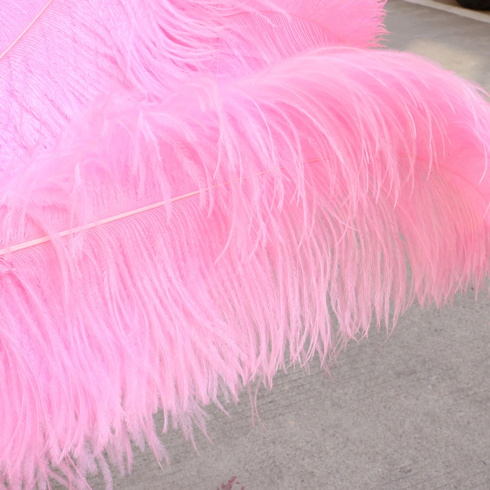 TS0165005 65-70cm ostrich feathers 3