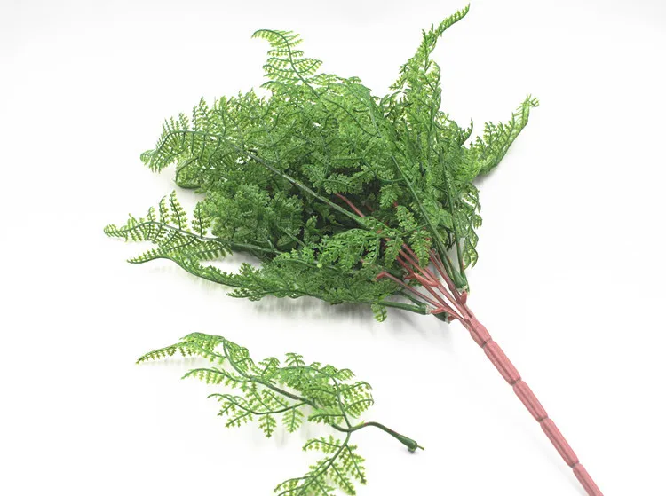 19叶软胶波斯叶