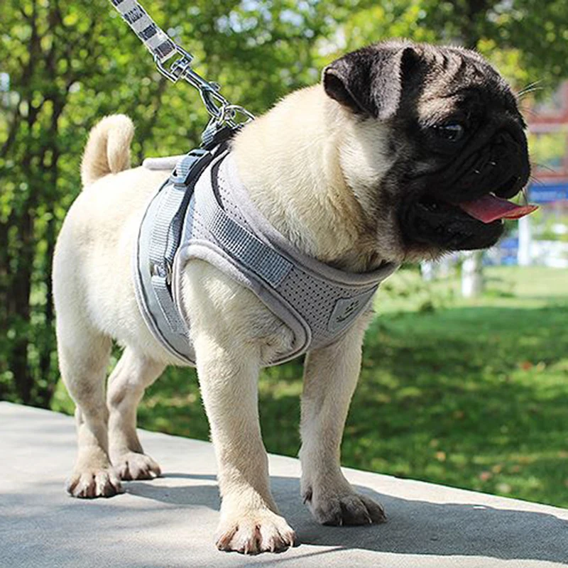 1pc Vest Harness Leash Adjustable Mesh Vest Dog Harness Collar Chest Strap Leash Harnesses With Traction Rope XS/S/M/L/XL