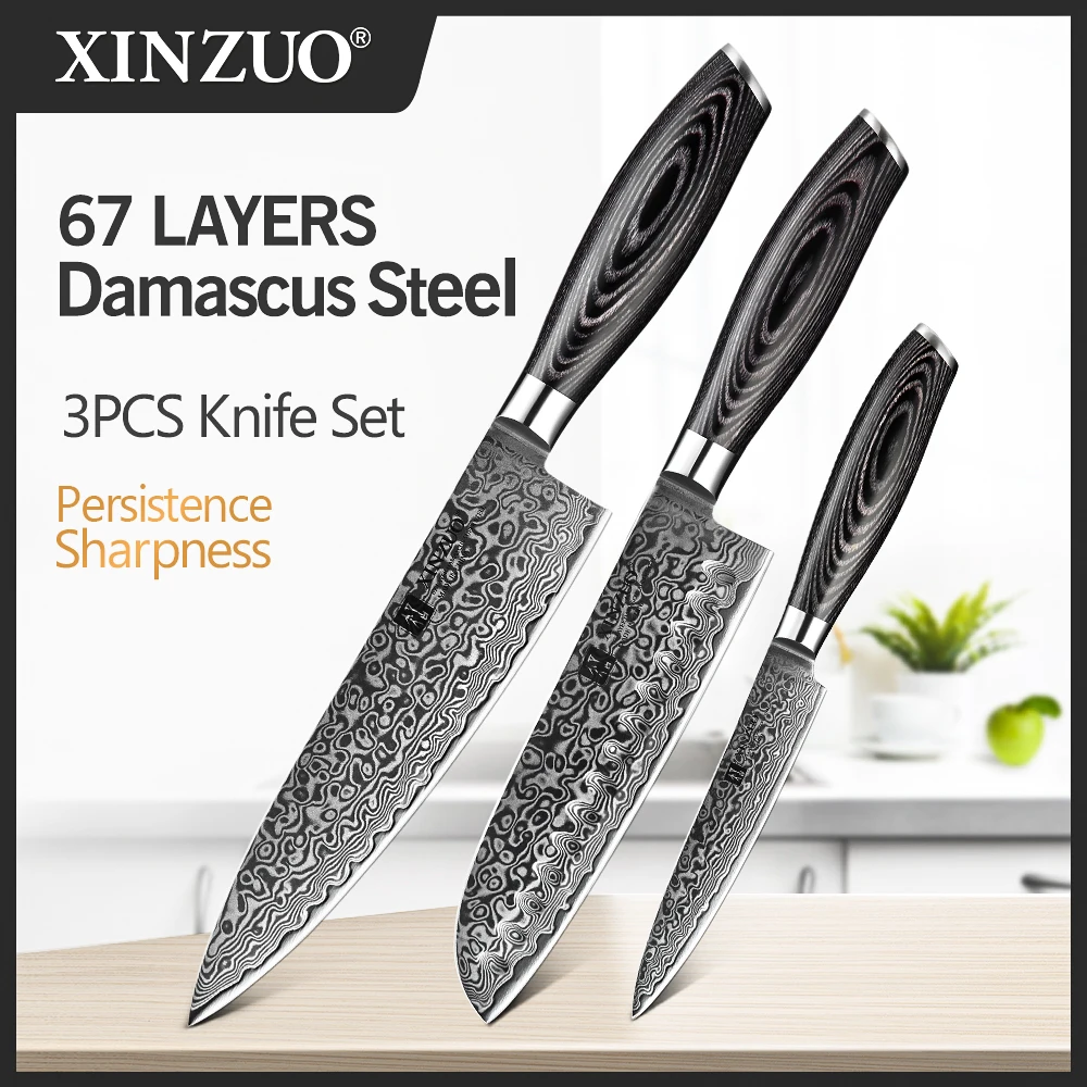 XINZUO 3PCS Kitchen Knives Set 67 Layers High Carbon Damascus Stainless