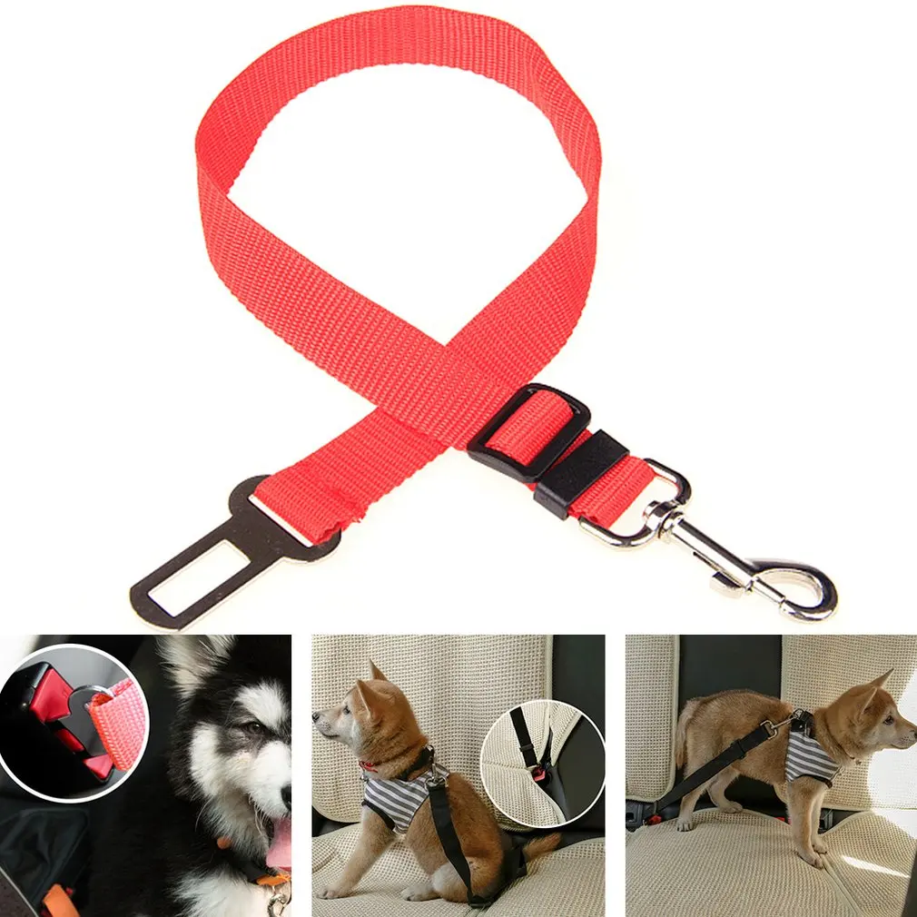 seat belt lead for dogs