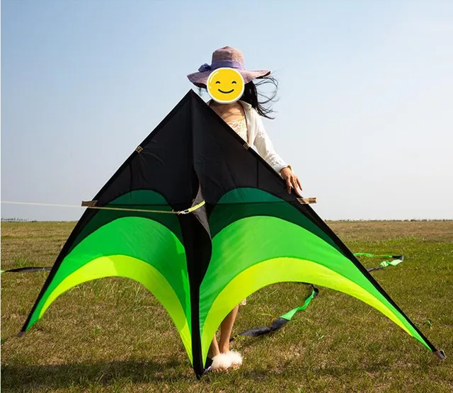 free shipping high quality large delta kites tails with handle outdoor toys for kids kites nylon ripstop albatross kite factory 4