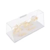 Rabbit Skeleton Specimen Animal Bone Model for Pupil  Biological Knowledge Learning Aid 5