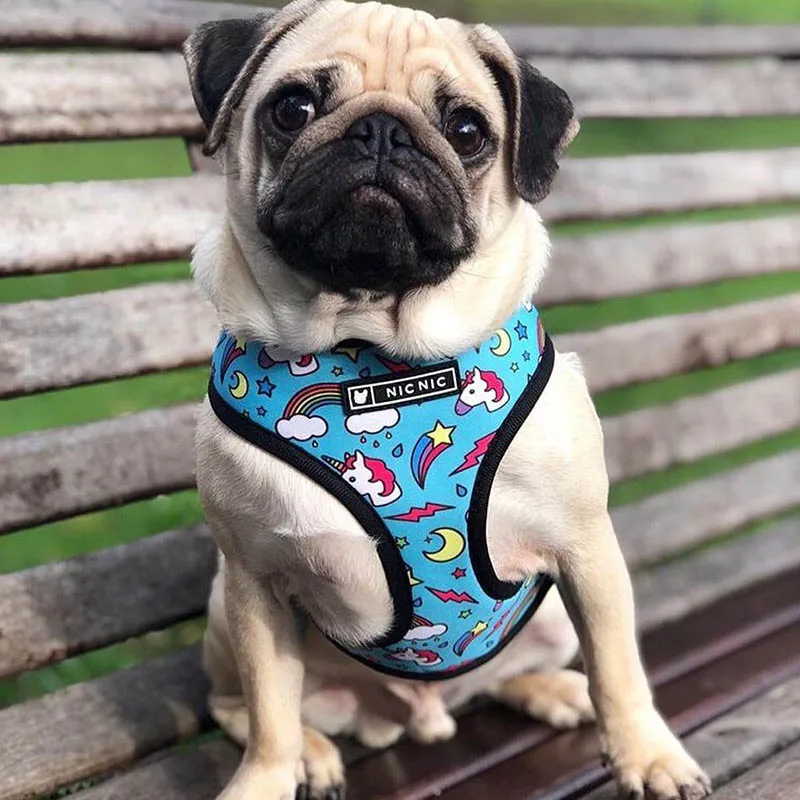 Harnais animal,Harnais pour chien bouledogue français,carlin,petit et moyen gabarit,laisse pour