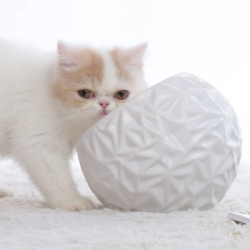 Круглый корм для домашних животных миски с большой емкостью Нескользящая керамика кошка миска для питомца легко чистить питатель для домашних животных