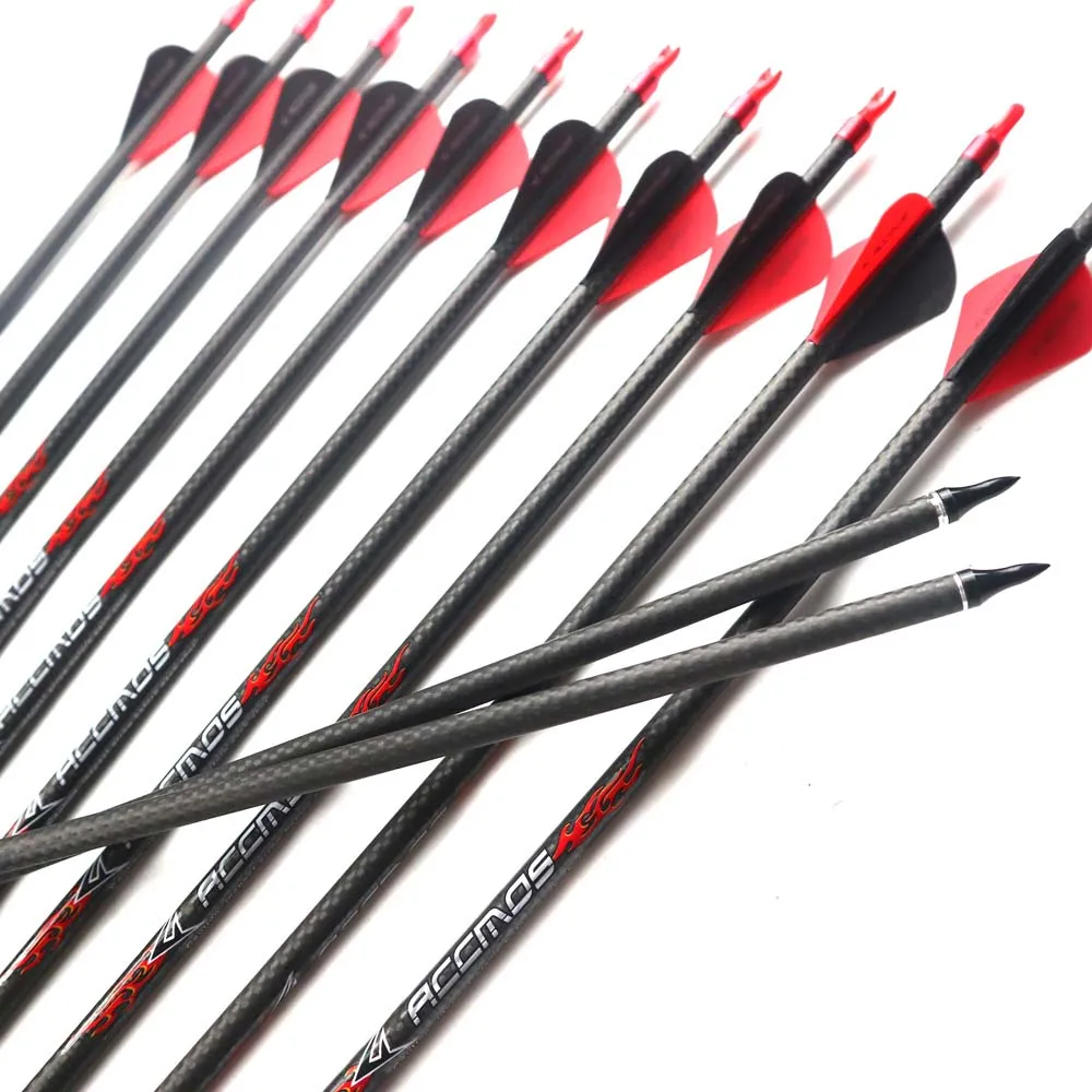 12-Pack Carbon Arrows For Compound & Recurve Bows - 28/29/30 Inch, 300/340/400 Spine, 100 Grain Points, Practice & Hunting