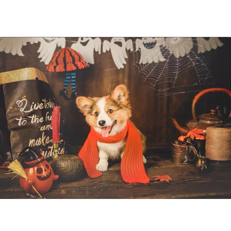 微信图片_20200111194633