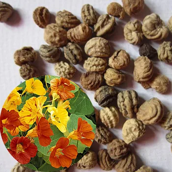 

50Pcs Flower Bonsai Plant Semillas Mixed Color Nasturtium семена растений DIY Garden Decoration