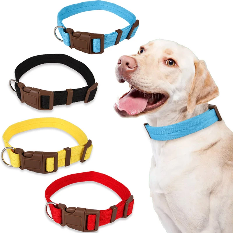 simple dog collar