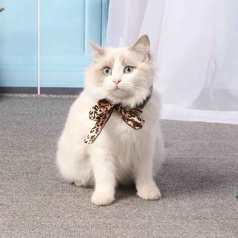 Cat Scarf Velvet & Polyester Collar for Kitty Printing Collars Bow Type Neckerchief Small Shawl Pet Accessories Kitten | Дом и сад