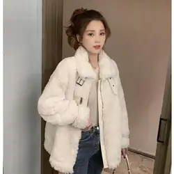 2019 новое осеннее и зимнее пальто из искусственного меха с воротником-стойкой, короткое пальто из овчины, модное женское пальто на молнии с