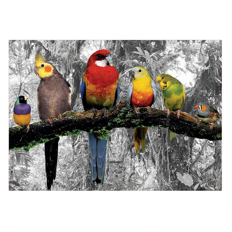 Алмазная 5d-картина с полным покрытием изображением попугаев животных птиц