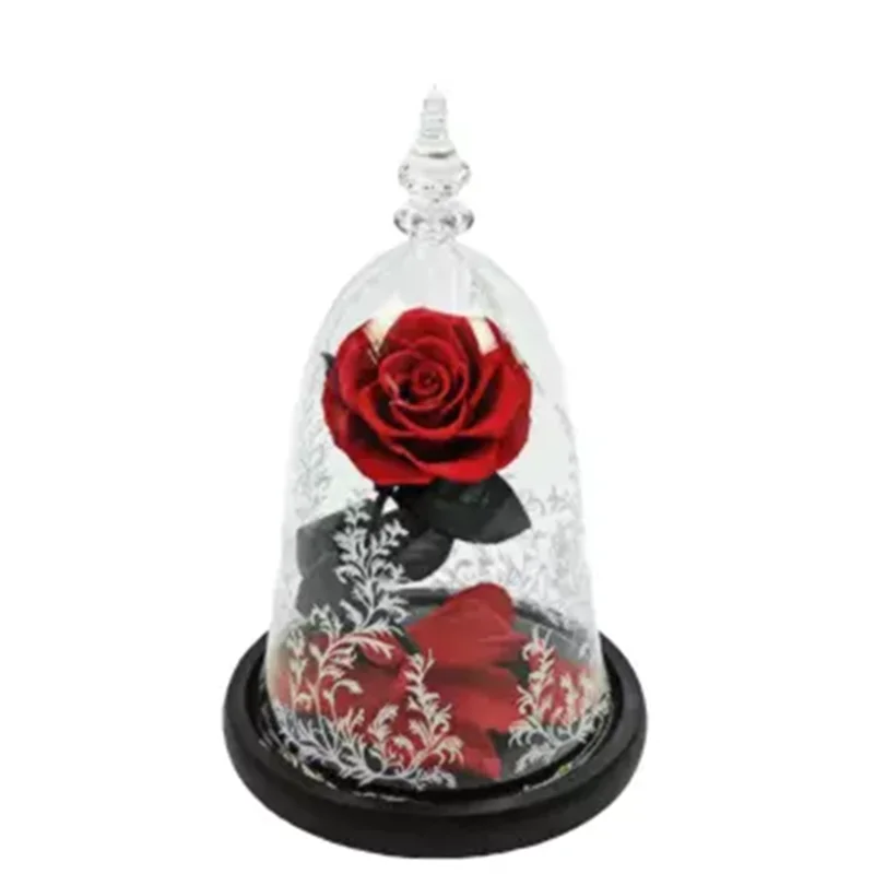 美女と野獣カラフルなリアルビッグローズ保存花ガラスドームledライト Artificial Dried Flowers Aliexpress