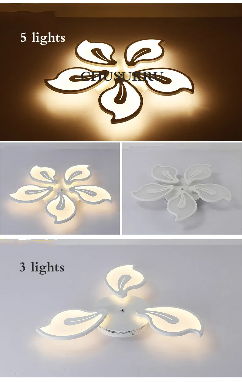 5341523218_898952657_meitu_1